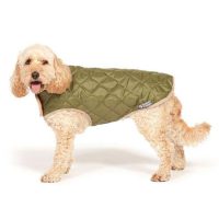 Quilted Dog Coat Green