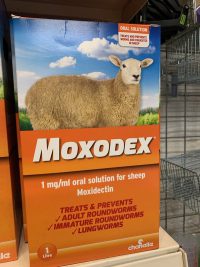 Moxodex
