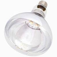INT Infra Red Bulb Hard Glass Clear