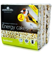 Winston Wilds Energy Cake Sunflower 3 Pack