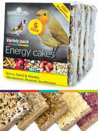Winston Wilds Energy Cake Variety 5 Pack