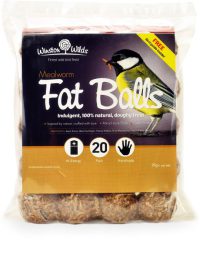 Winston Wilds Extra Special Mealworm Fat Balls 20