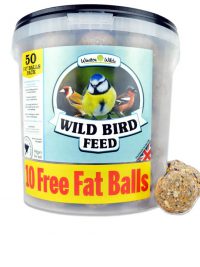 Winston Wilds Premium Fat Balls 50 Pack Bucket