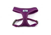 Ancol Viva Comfort Harness Purple