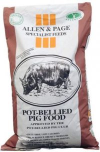 Allen & Page Pot Bellied Pig