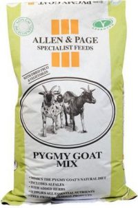 Allen & Page Pygmy Goat Mix