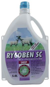 Rycoben SC Sheep