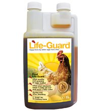 NAF Life-Guard Happy Hens!!